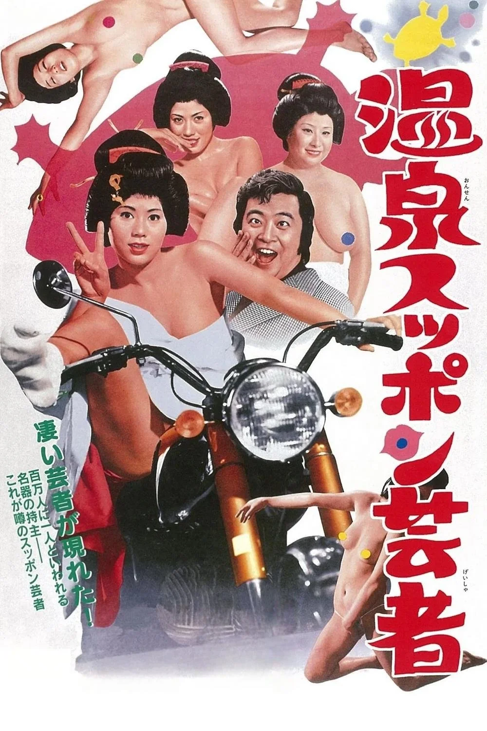 لاک‌پشت گیشا