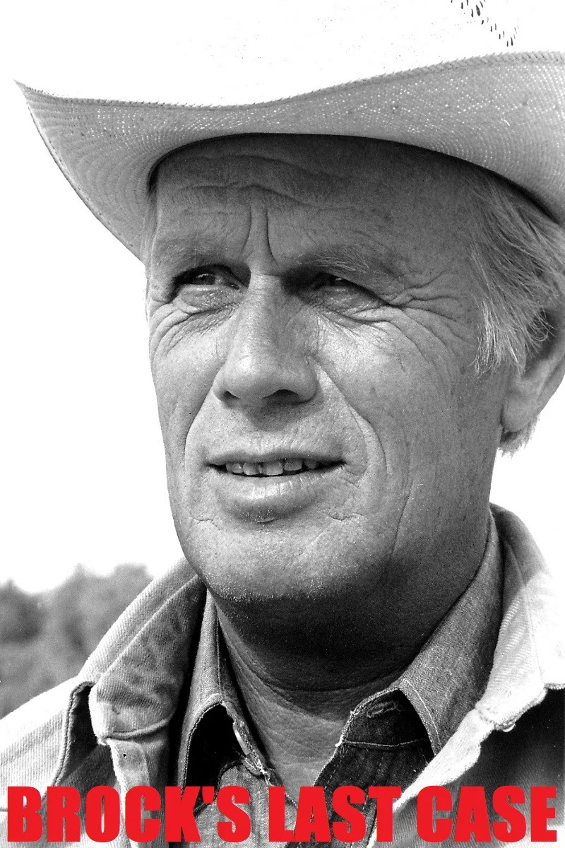 آخرین پرونده بروک