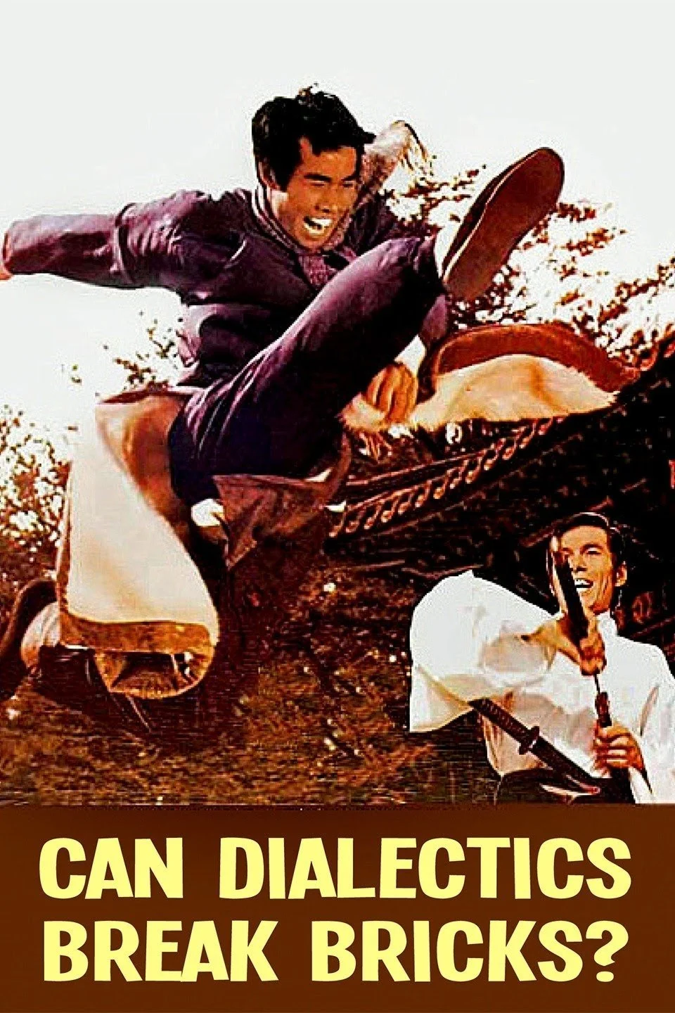 آیا دیالکتیک می‌تواند آجرها را بشکند؟