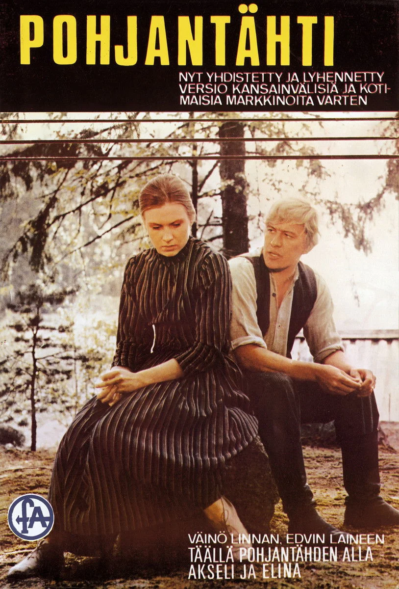 ستاره شمالی