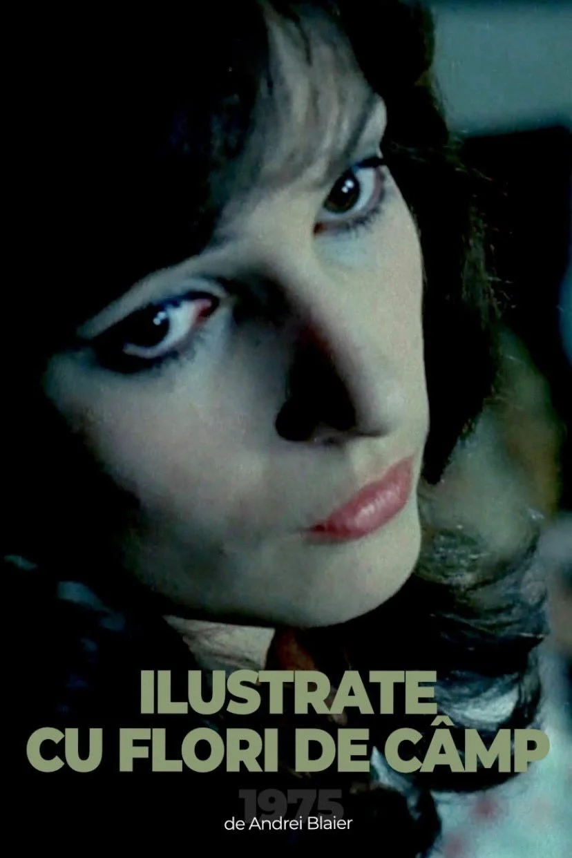 کارت پستال هایی با گل های وحشی