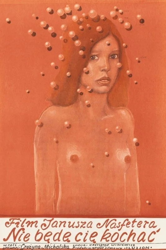 من تو را دوست نخواهم داشت