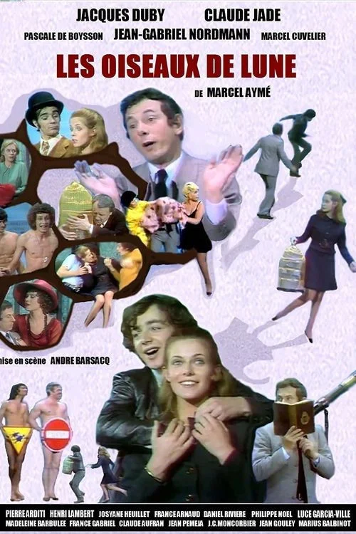 پرندگان ماه