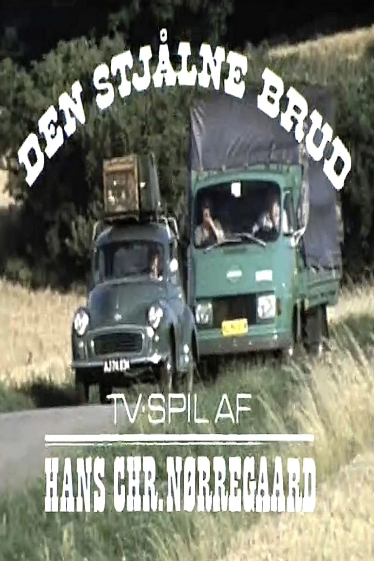 عروس دزدیده شده