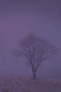 Tree Over the Valley, Eaton