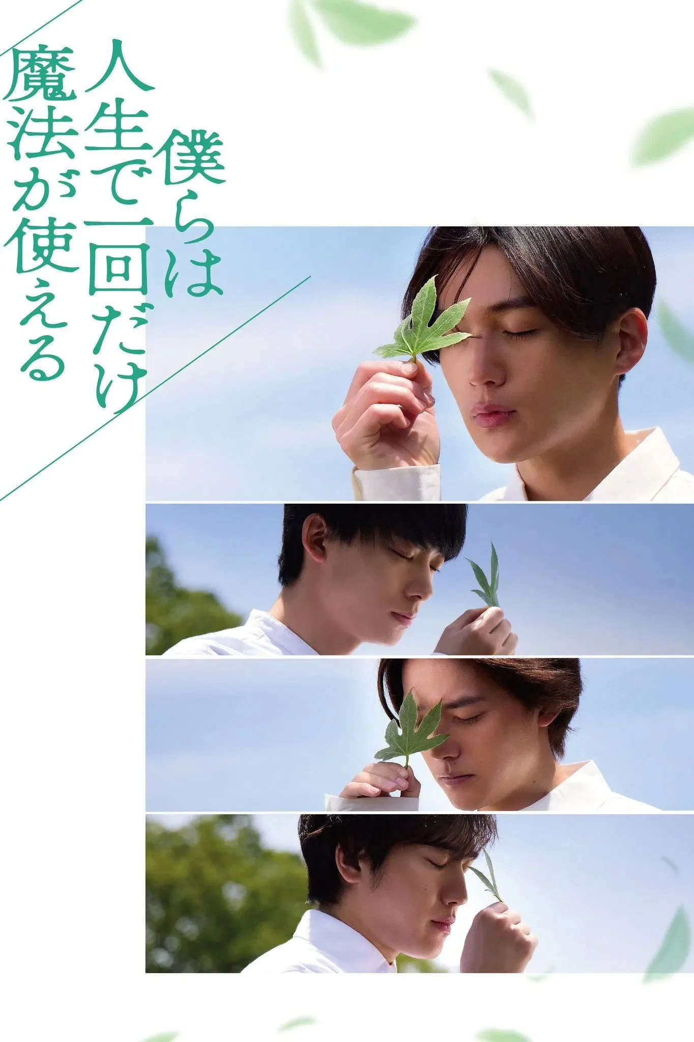 ما فقط یک بار در زندگی‌مان می‌توانیم از جادو استفاده کنیم