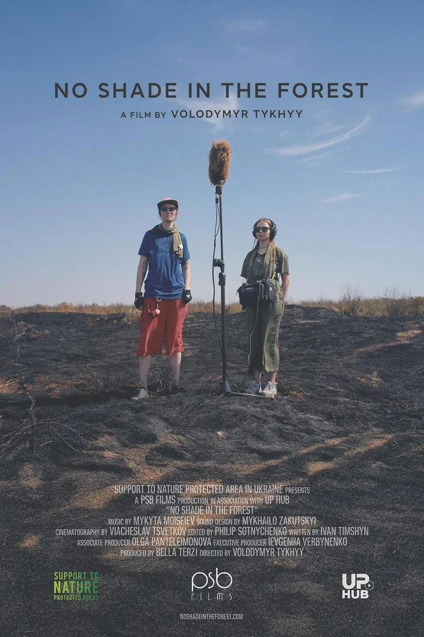 هیچ سایه‌ای در جنگل