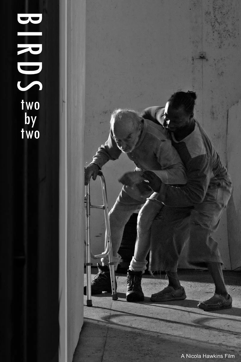 پرندگان دو به دو