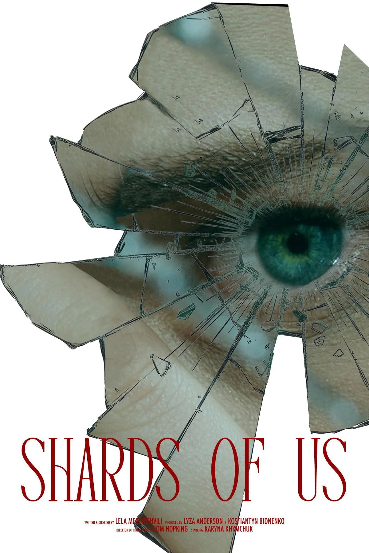 Shards of Us
