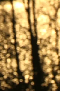 در حال عبور