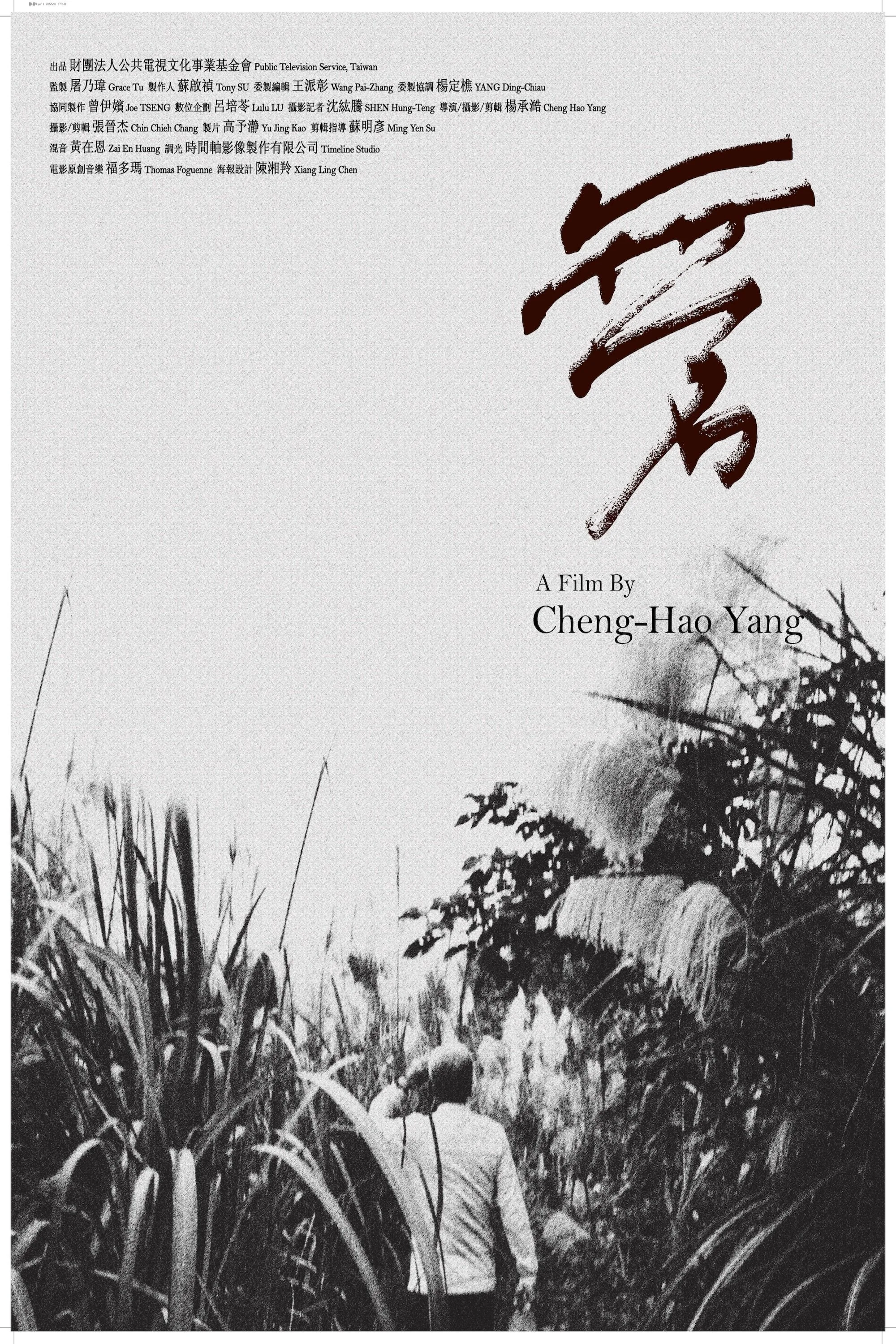 بازتاب‌های فراموش‌شده