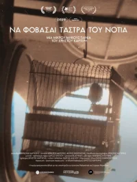 مراقب ستاره‌های جنوبی باشید