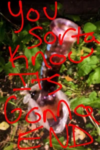 شما تقریباً می‌دانید که این به پایان می‌رسد