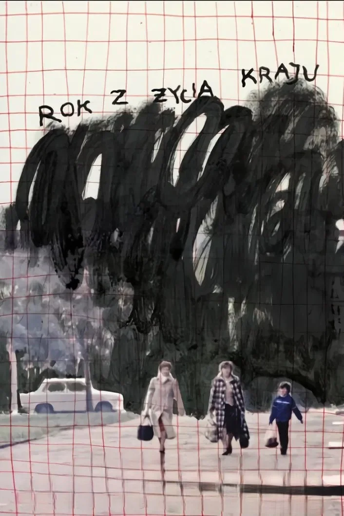 یک سال در زندگی کشور