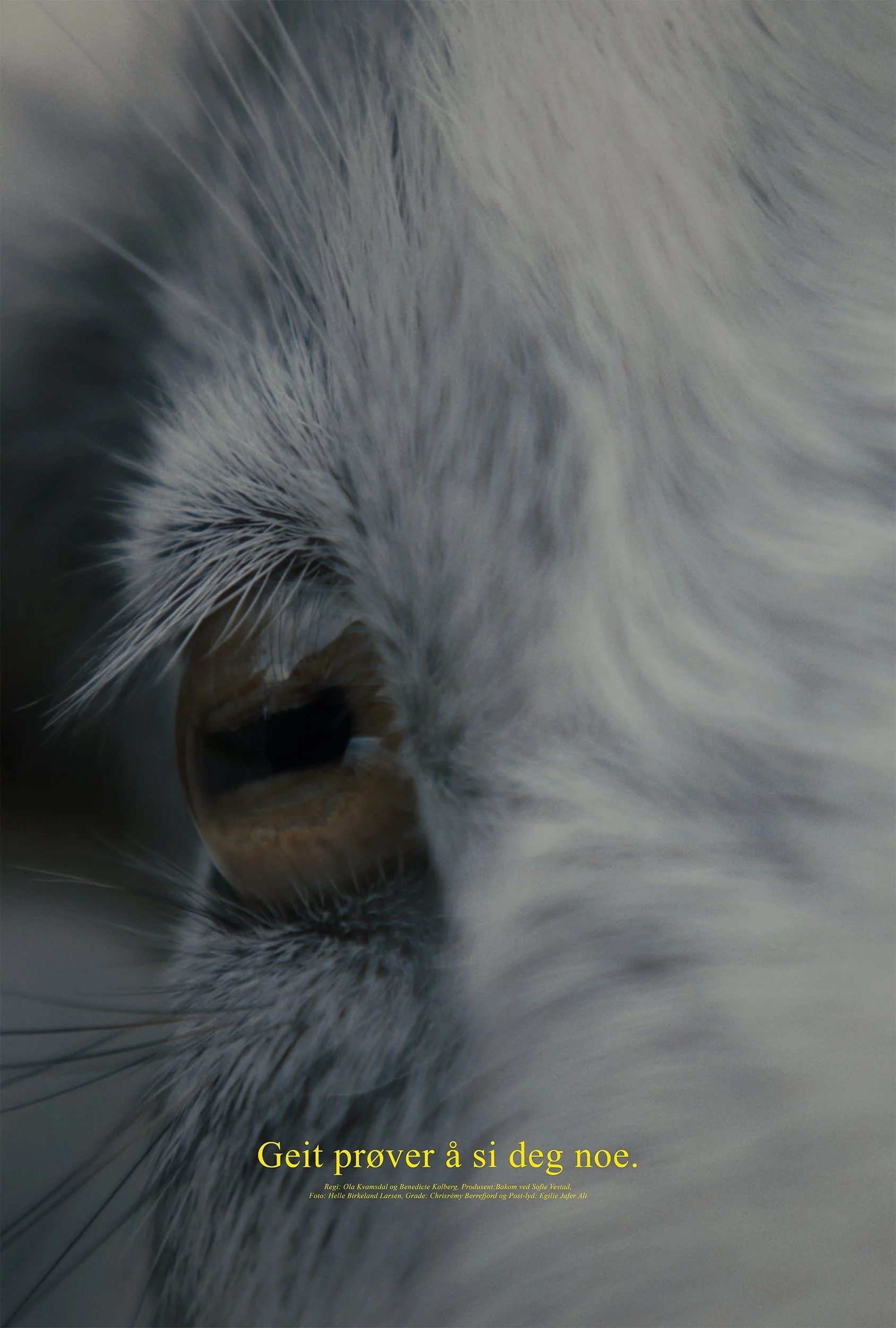 بز حسود سعی می‌کند به تو چیزی بگوید