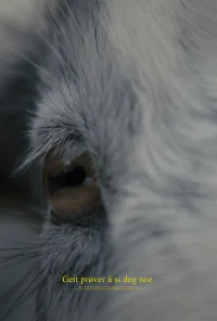 بز حسود سعی می‌کند به تو چیزی بگوید