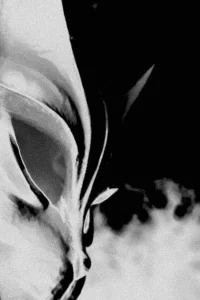 روزهای سرد از بالای درختان