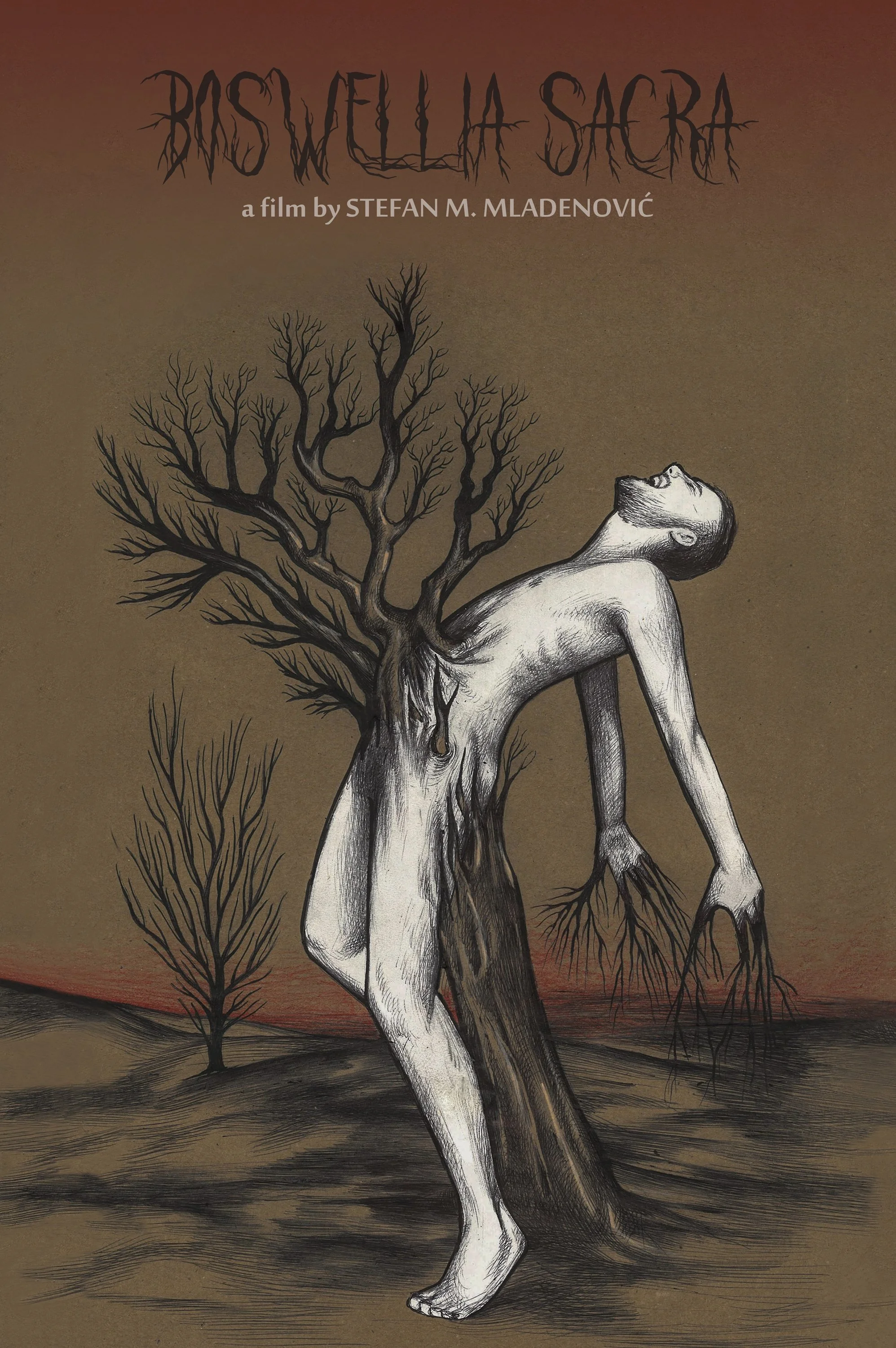 بوسولیا ساکرا