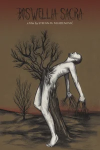 بوسولیا ساکرا