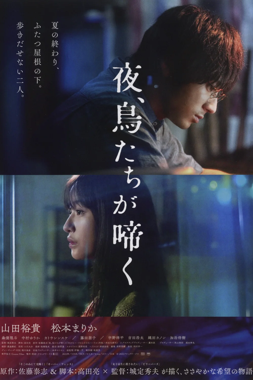 شب، فریاد پرندگان