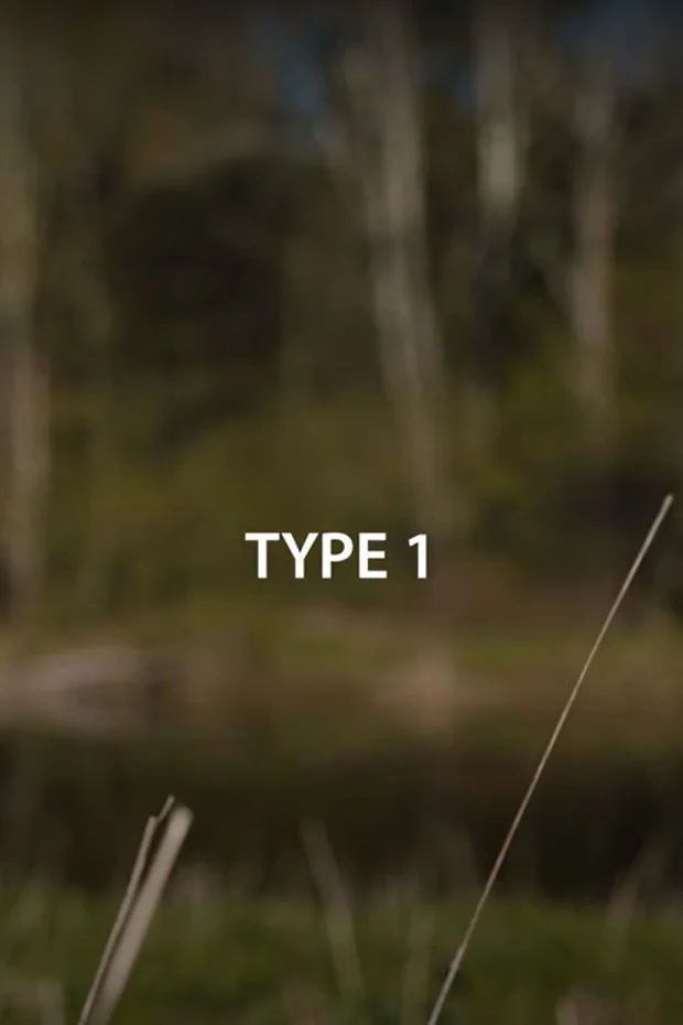 نوع ۱