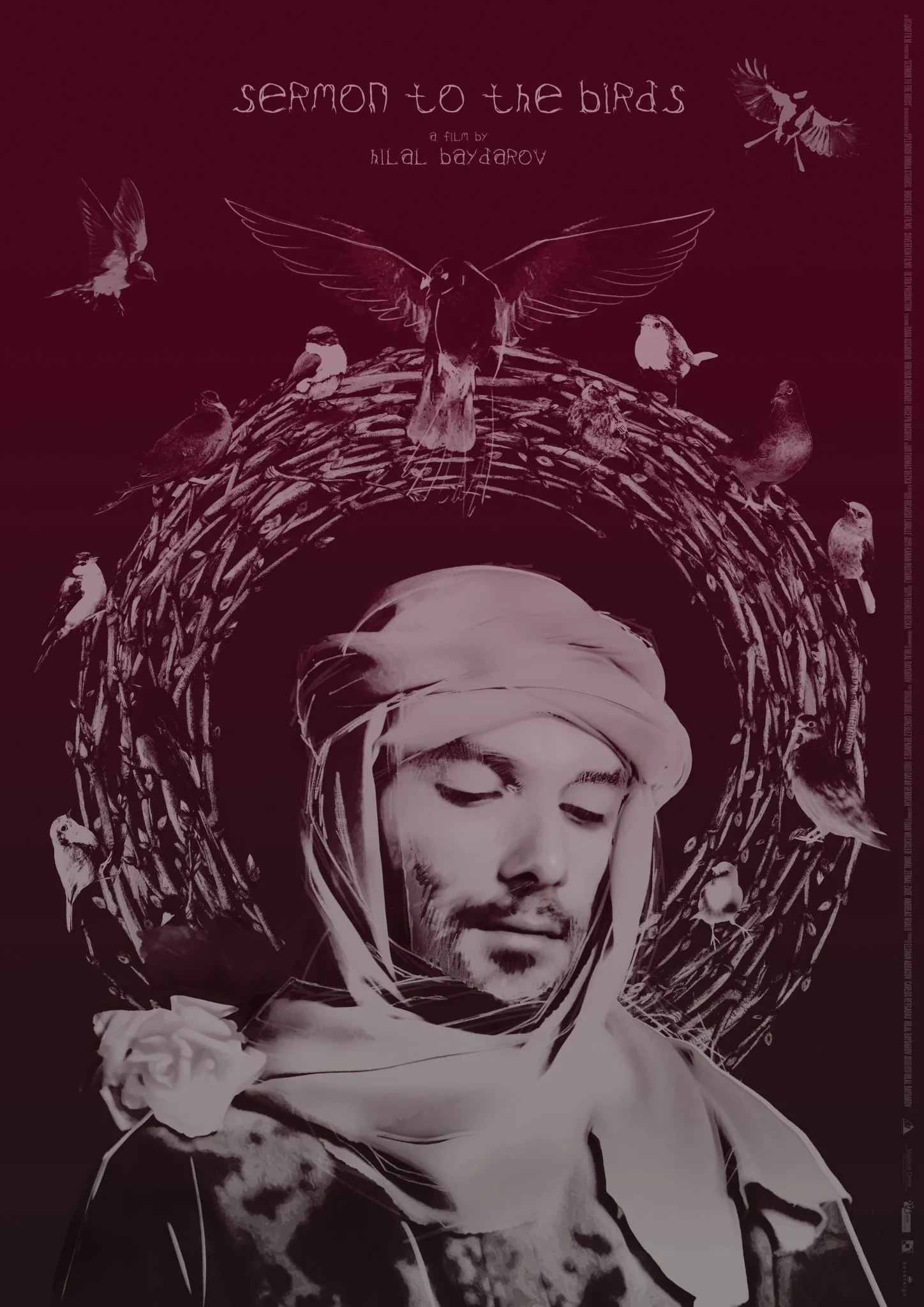 موعظه برای پرندگان