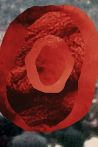 در پی نور خیره‌کننده