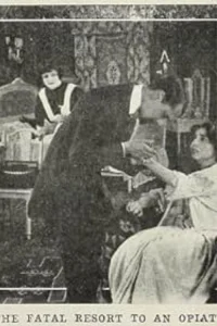 The Spirit of the Poppy