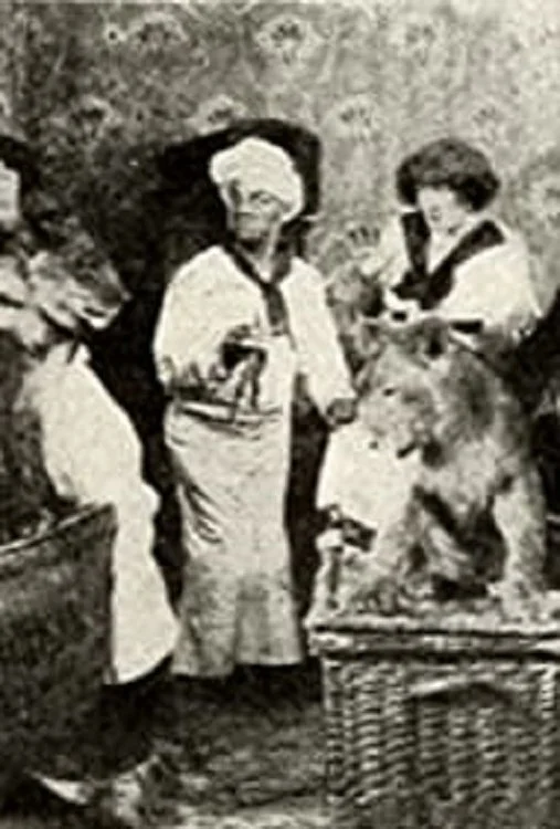 کالینو و مهمانانش