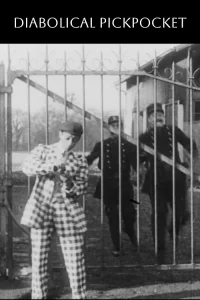 دزدکی دیوانه‌وار