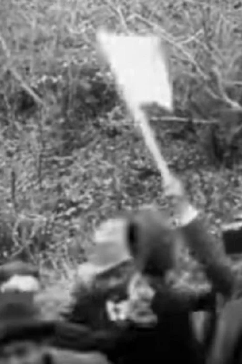 وزیر رومانیایی ایسترات به گوپش سفر می‌کند