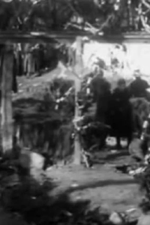 جشن تجلی در بیتولا