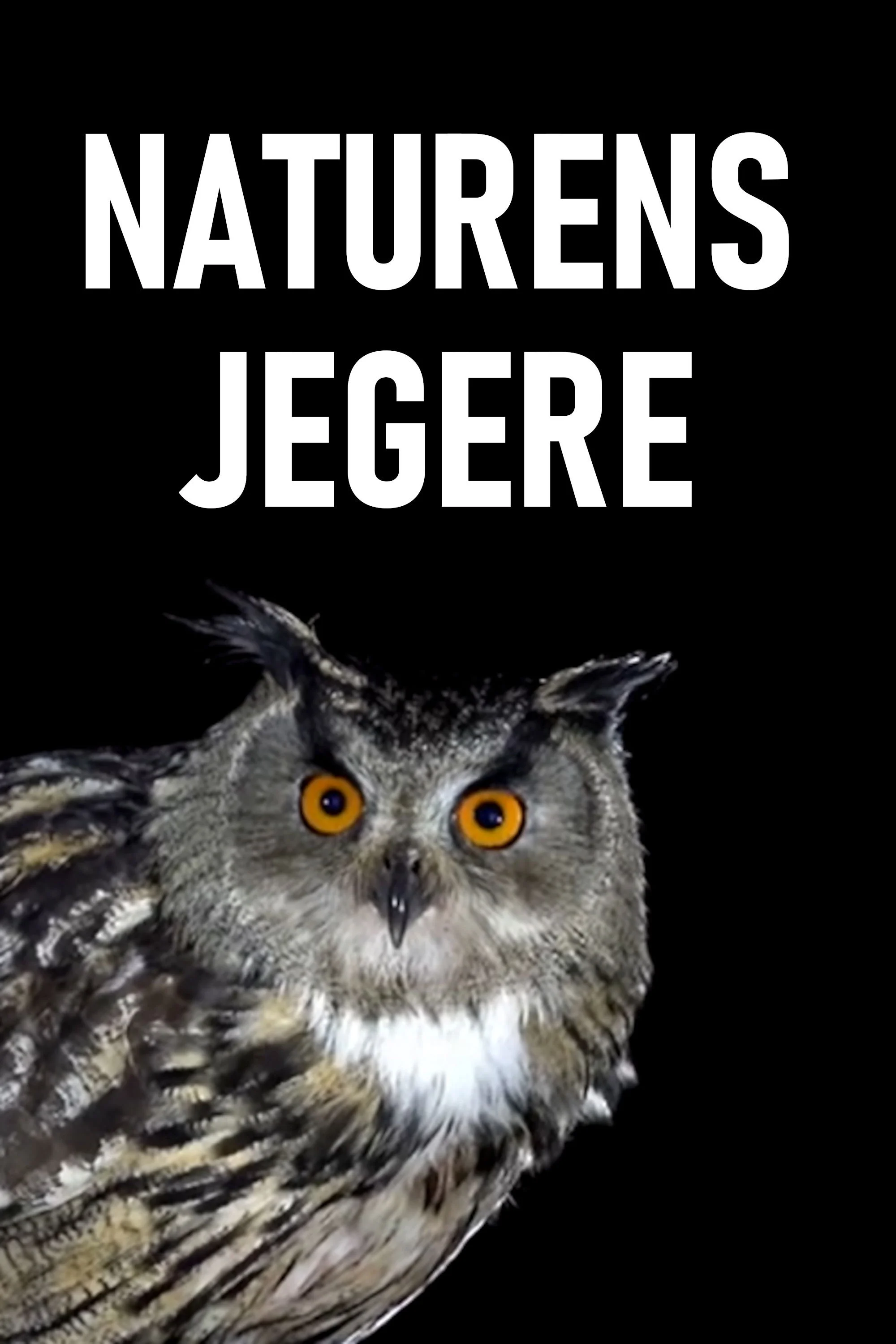 شکارچیان طبیعت