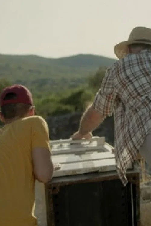 ضایعات حجیم