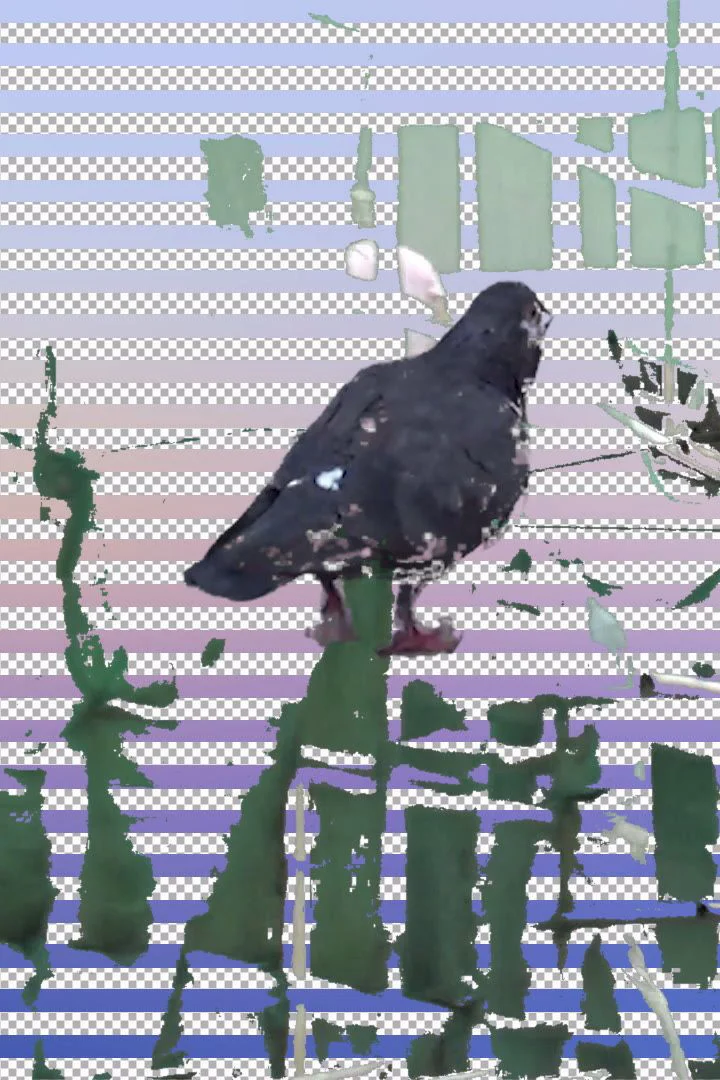 خاطرات کشیدن