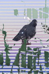 خاطرات کشیدن