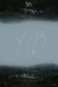 YIB