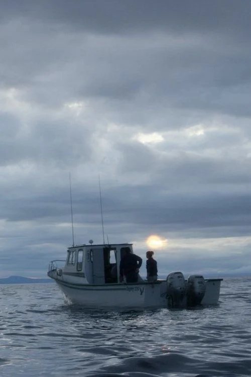 برخی از روزهای شنبه