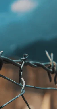 فرزندان دیکتاتوری