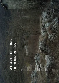 ما پسران سنگ‌هایتان هستیم