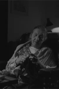 سربازی خانگی