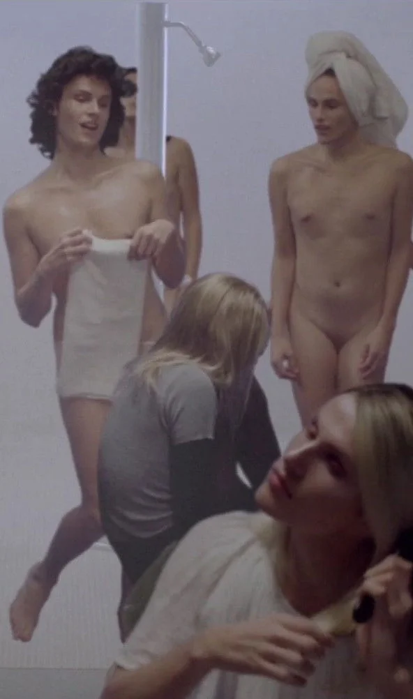 بدن دوگانه سی و دو