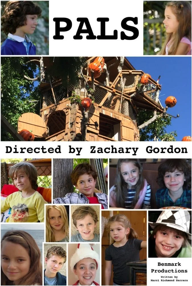 دوستان همسایه