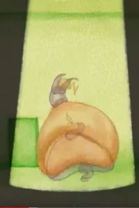 موج های گلیخته