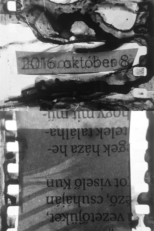 هشت اکتبر بیست و شانزدهم