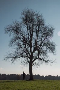 خارج از قوم