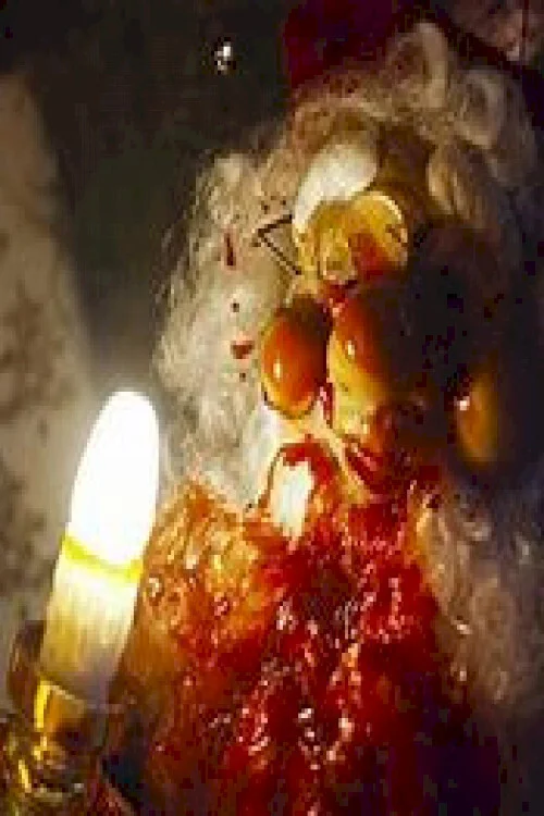 کریپمپس اینجاست