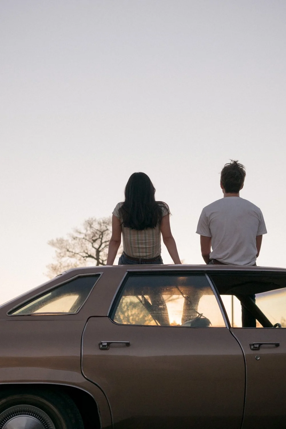 شمار بی端 ترین بخش