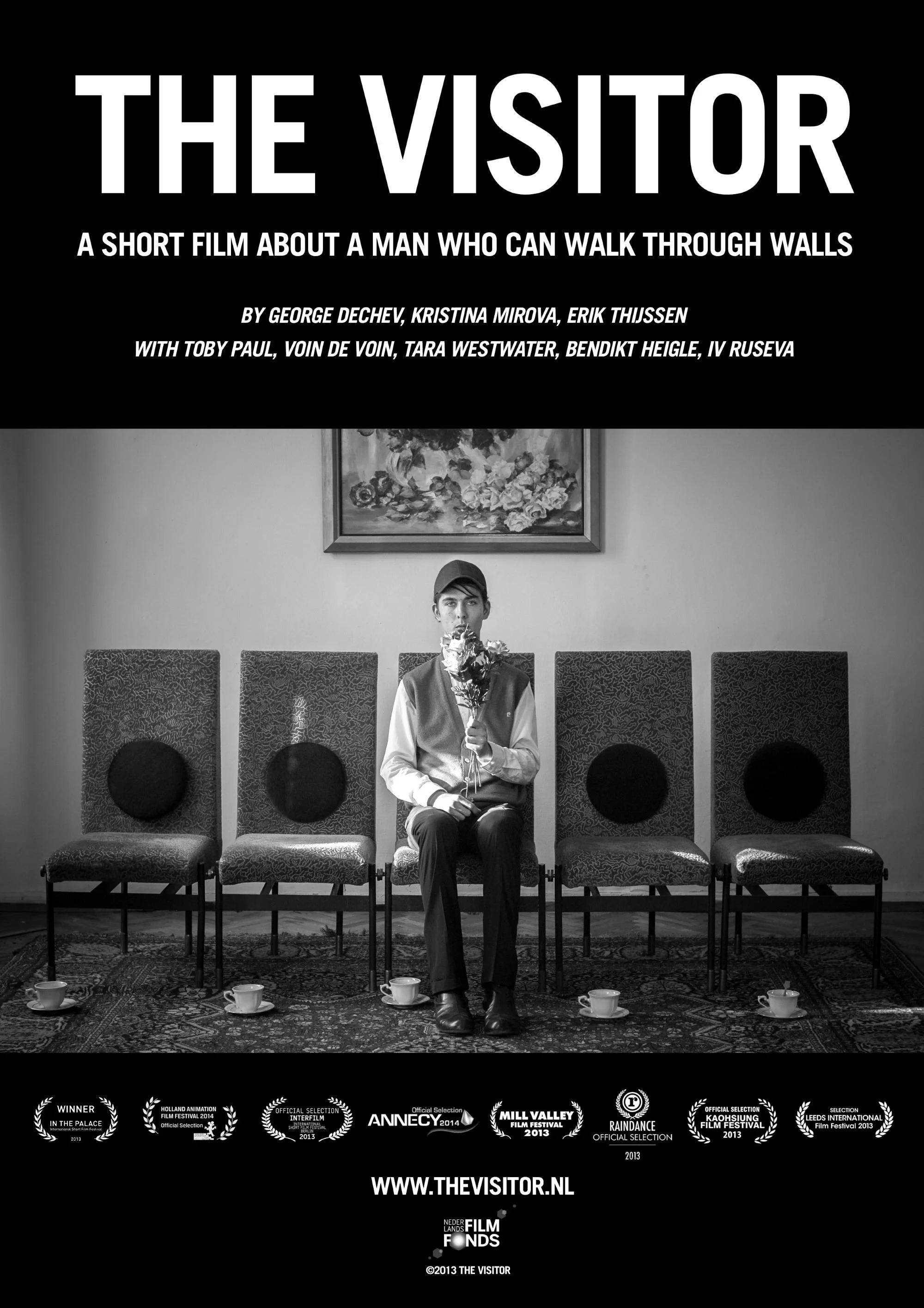 بازدید کننده