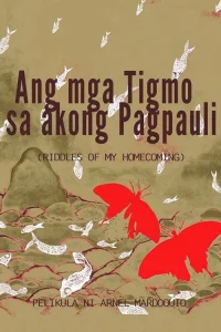 Ang mga Tigmo sa Akong Pagpauli